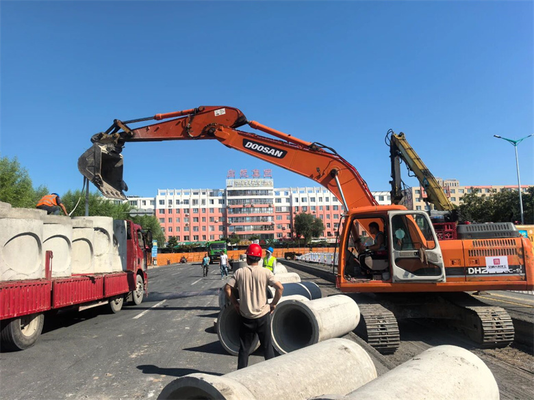 女人与公狍交酡女免费