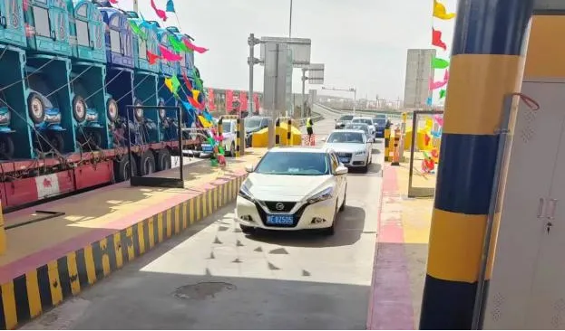 女人与公狍交酡女免费