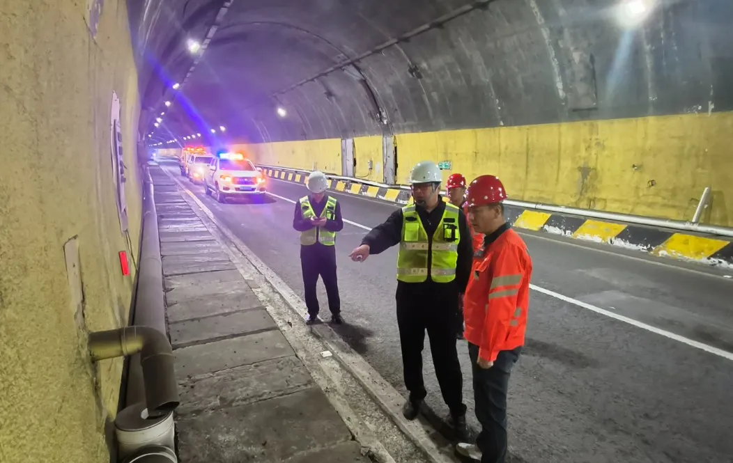 女人与公狍交酡女免费