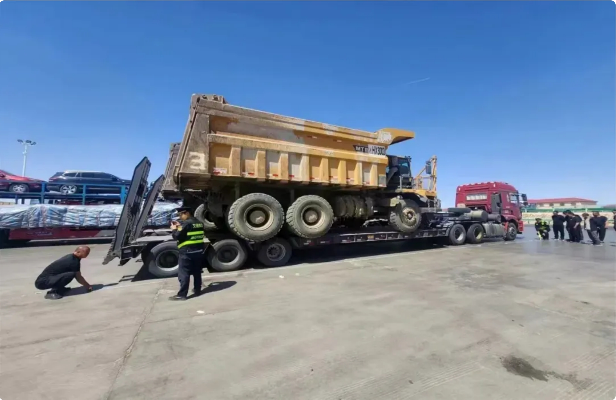 女人与公狍交酡女免费