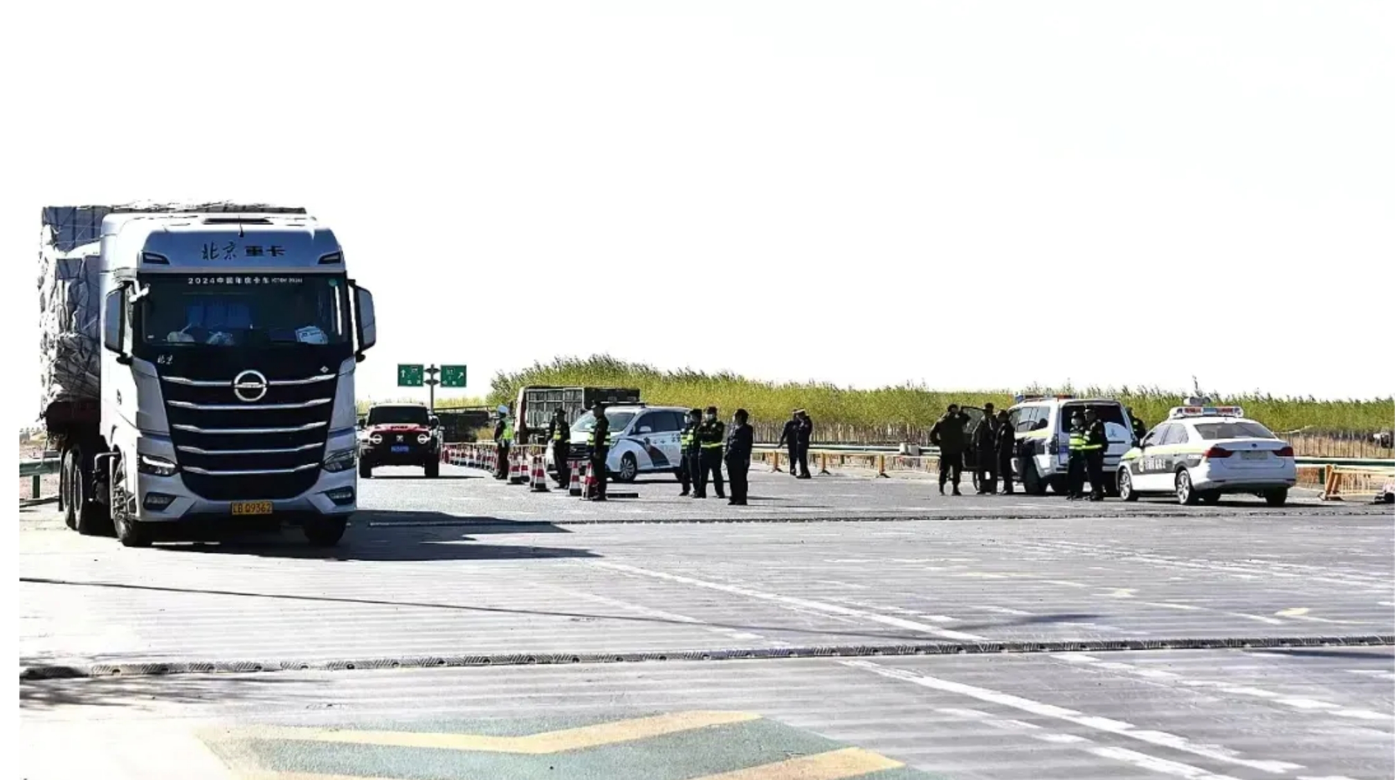 女人与公狍交酡女免费