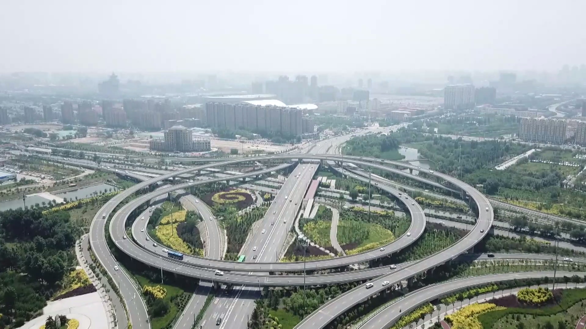 女人与公狍交酡女免费