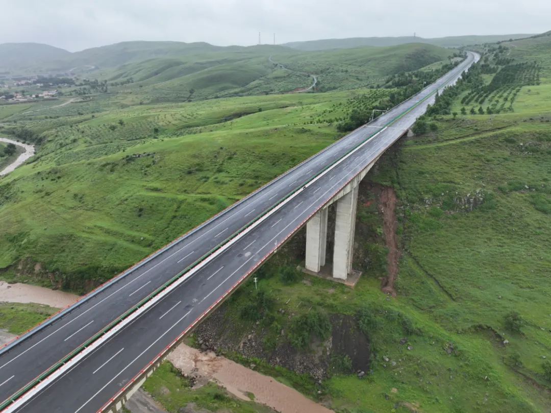 女人与公狍交酡女免费