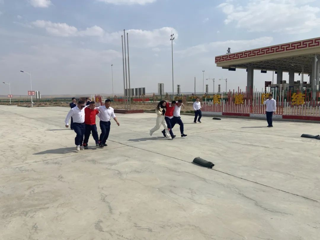 女人与公狍交酡女免费