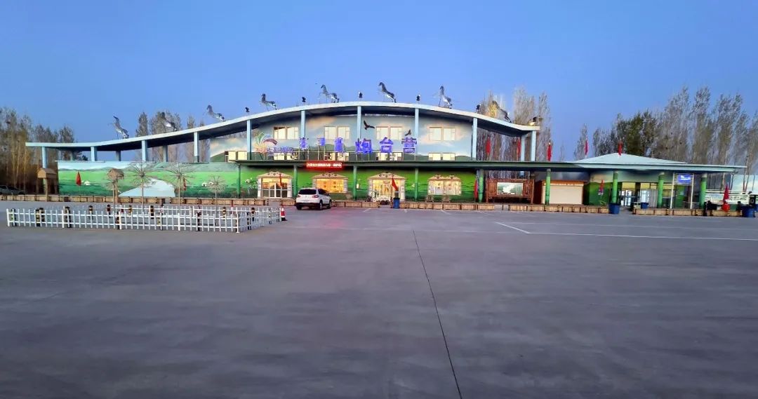 女人与公狍交酡女免费