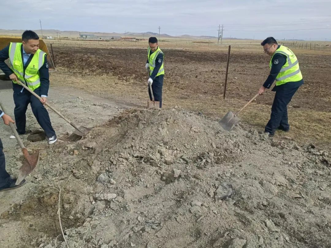 女人与公狍交酡女免费