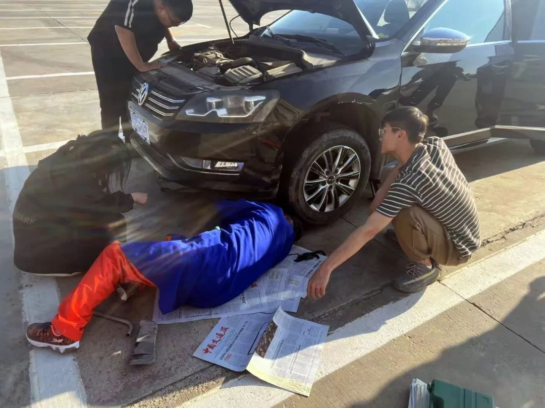 女人与公狍交酡女免费