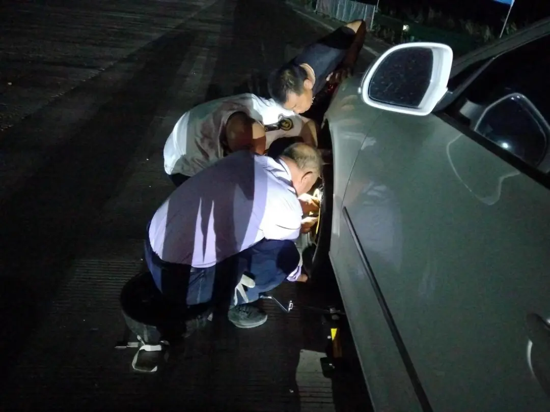 女人与公狍交酡女免费