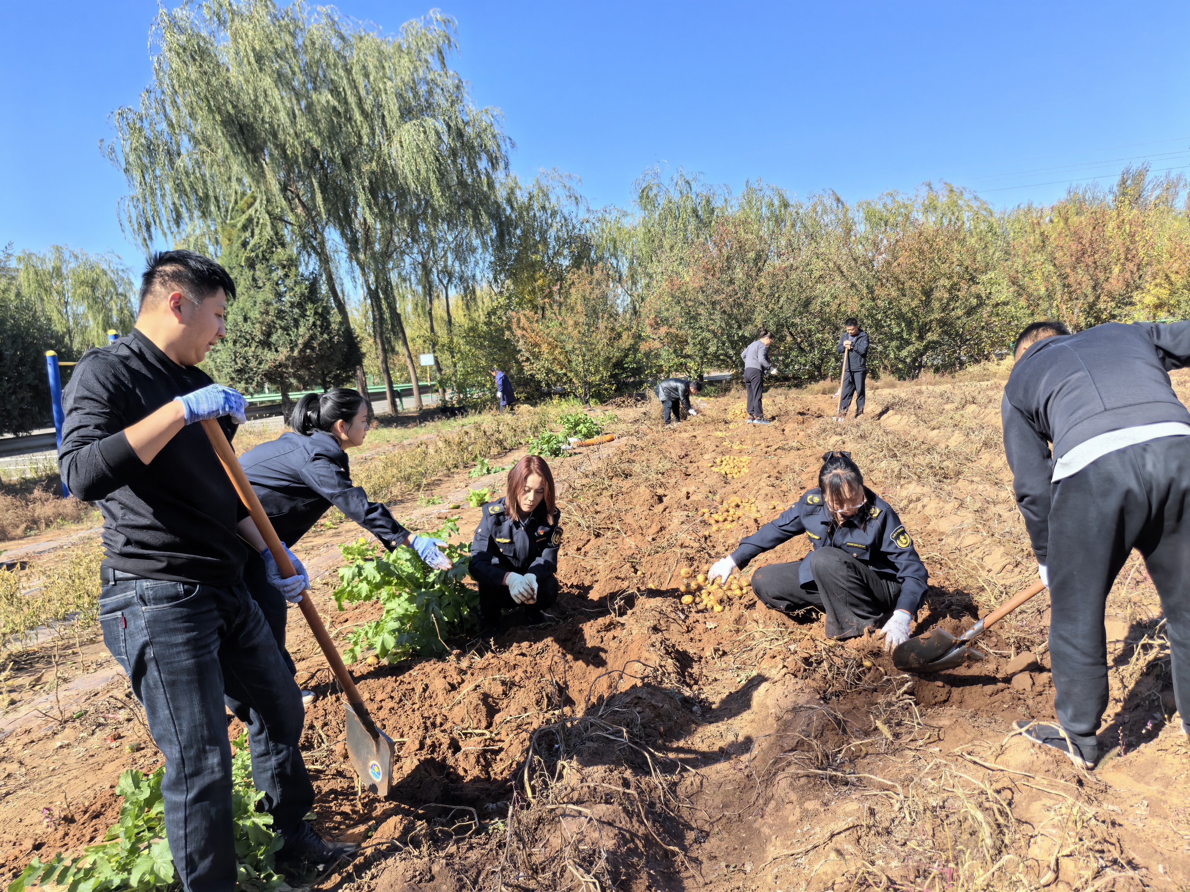女人与公狍交酡女免费