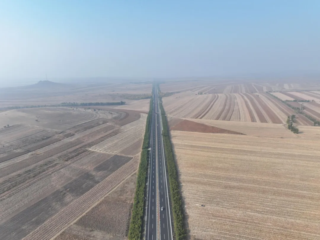 女人与公狍交酡女免费