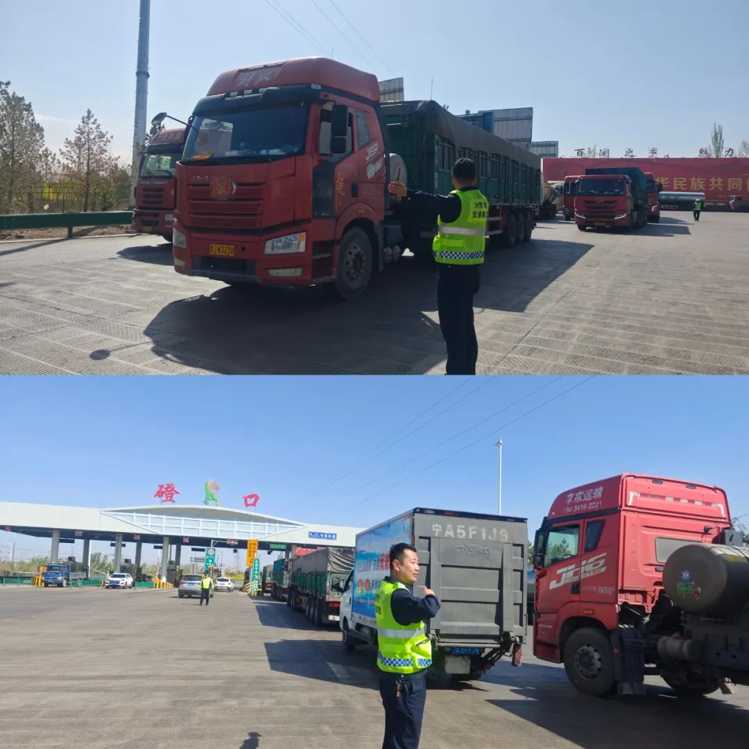 女人与公狍交酡女免费