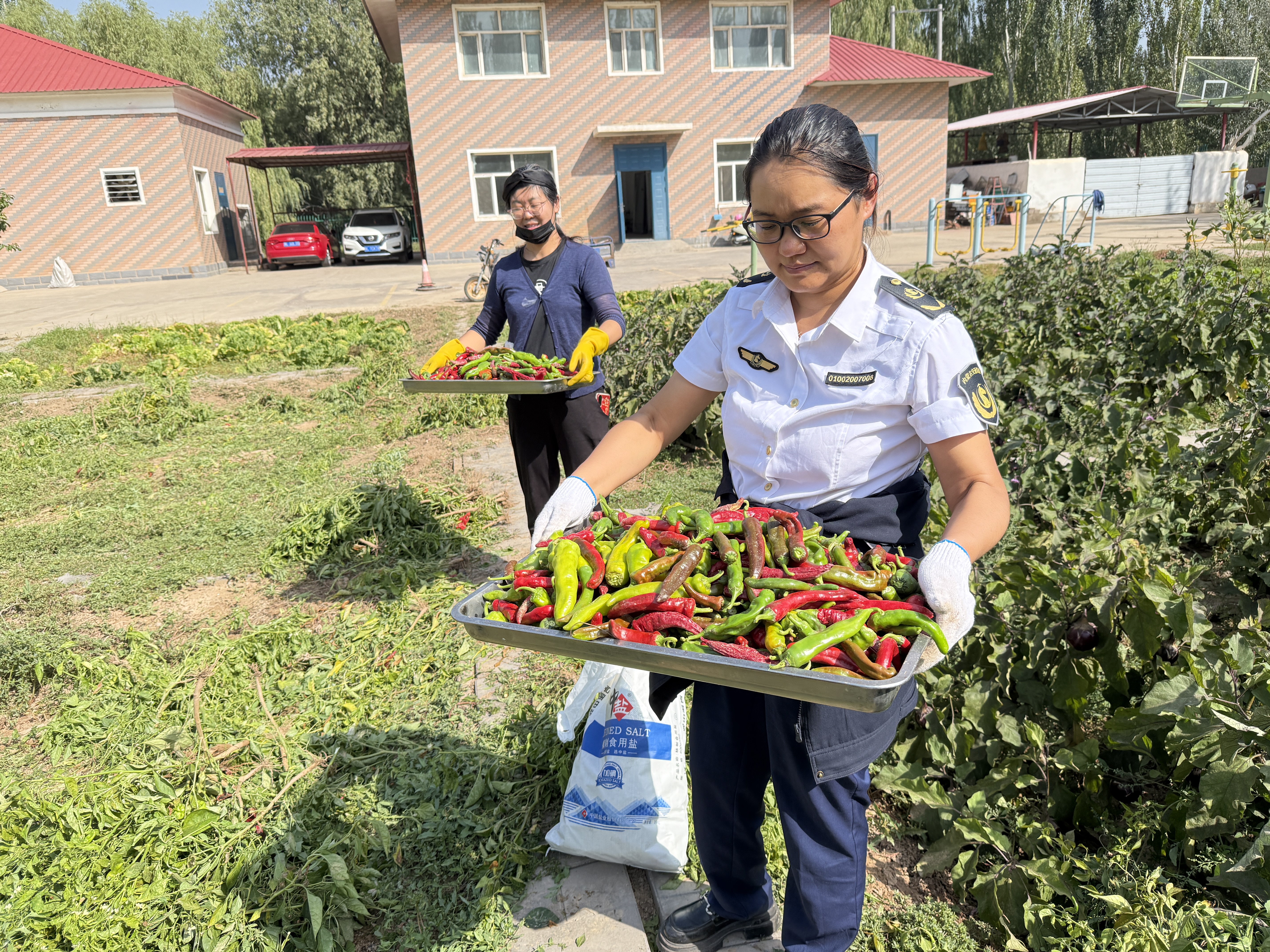 女人与公狍交酡女免费