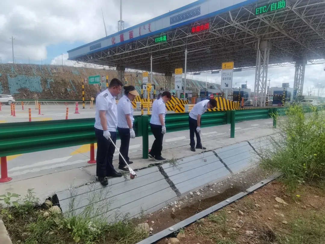 女人与公狍交酡女免费