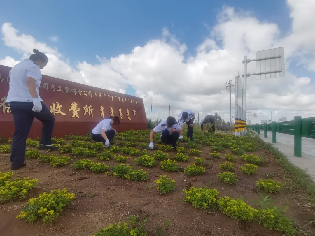 女人与公狍交酡女免费