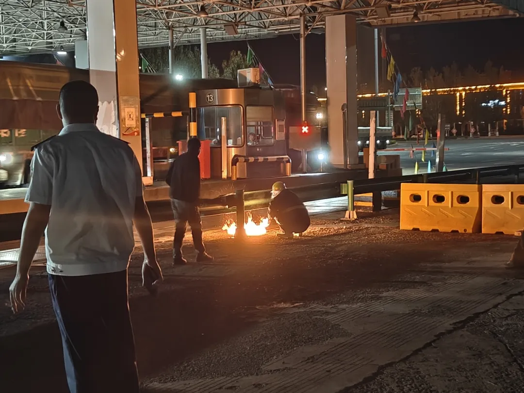 女人与公狍交酡女免费