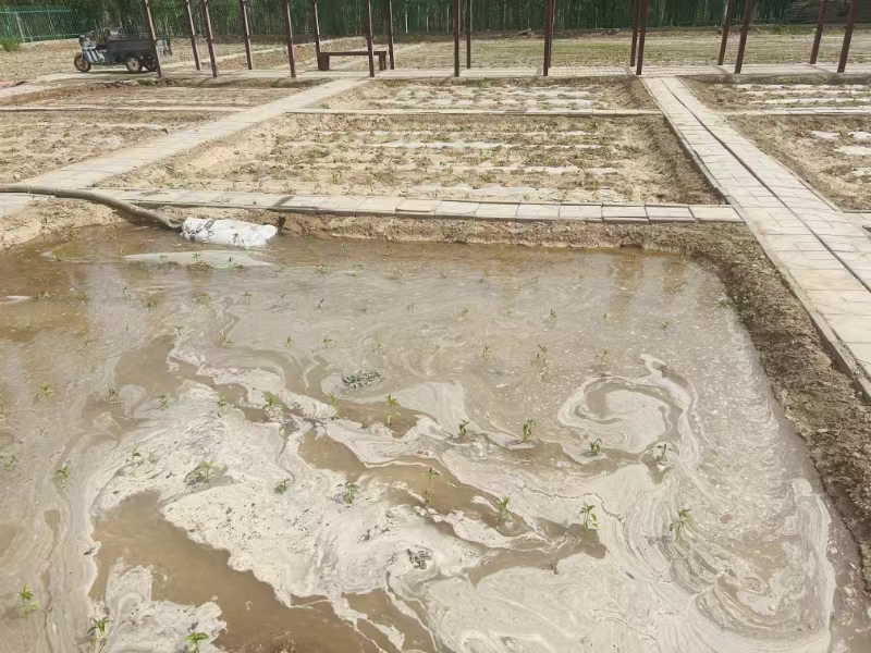 女人与公狍交酡女免费