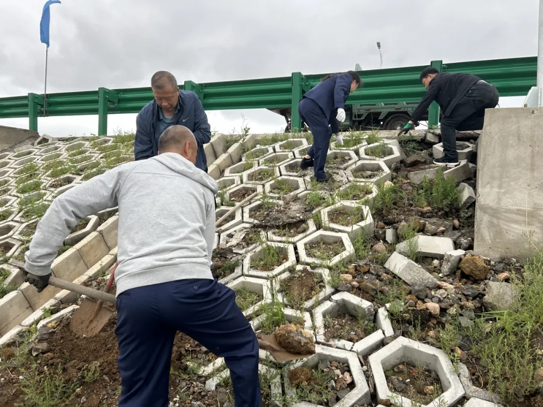女人与公狍交酡女免费