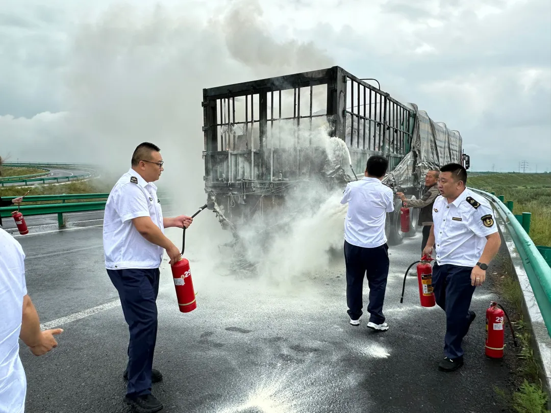 女人与公狍交酡女免费
