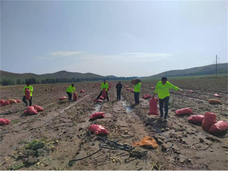 女人与公狍交酡女免费