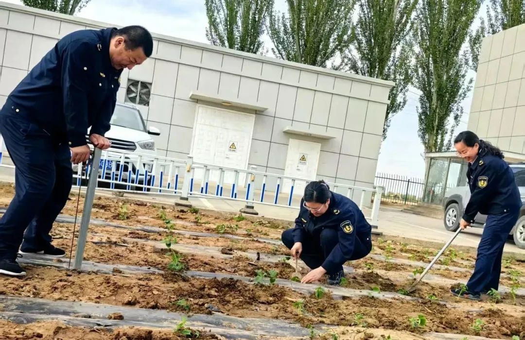 女人与公狍交酡女免费