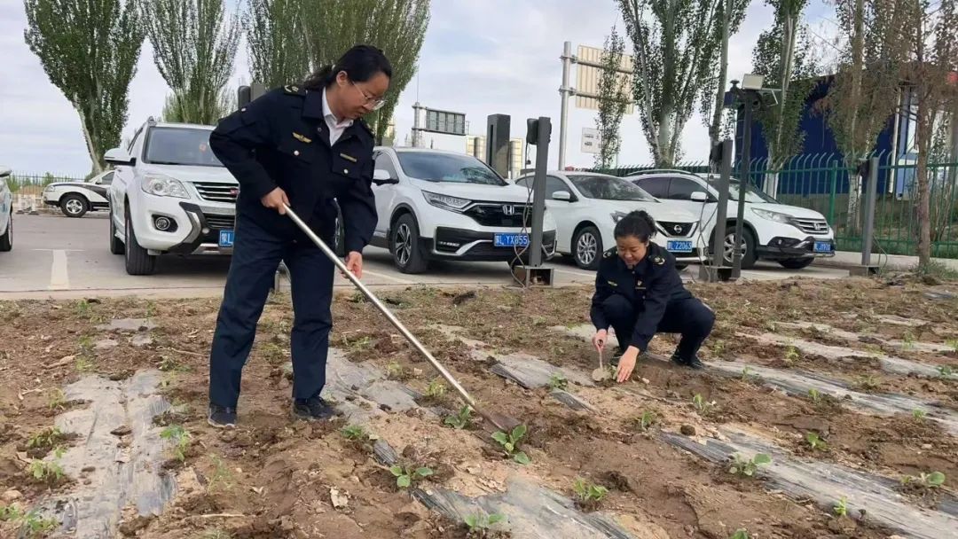 女人与公狍交酡女免费