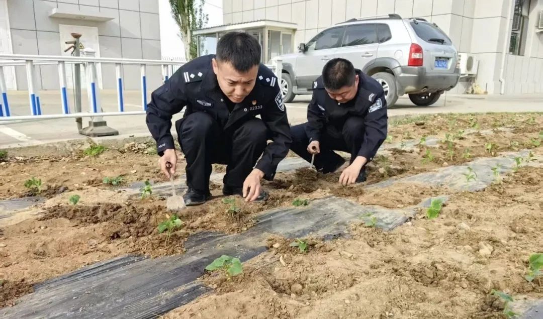 女人与公狍交酡女免费