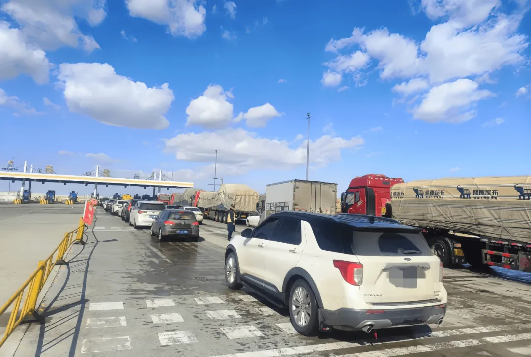 女人与公狍交酡女免费