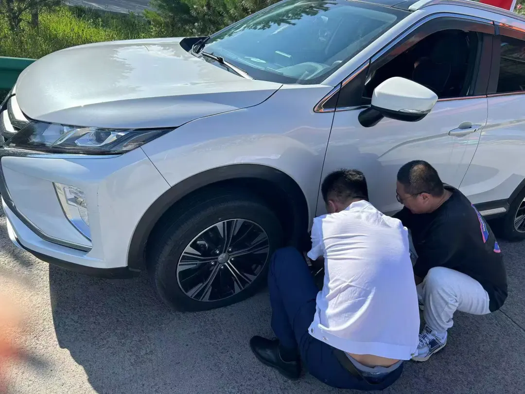 女人与公狍交酡女免费