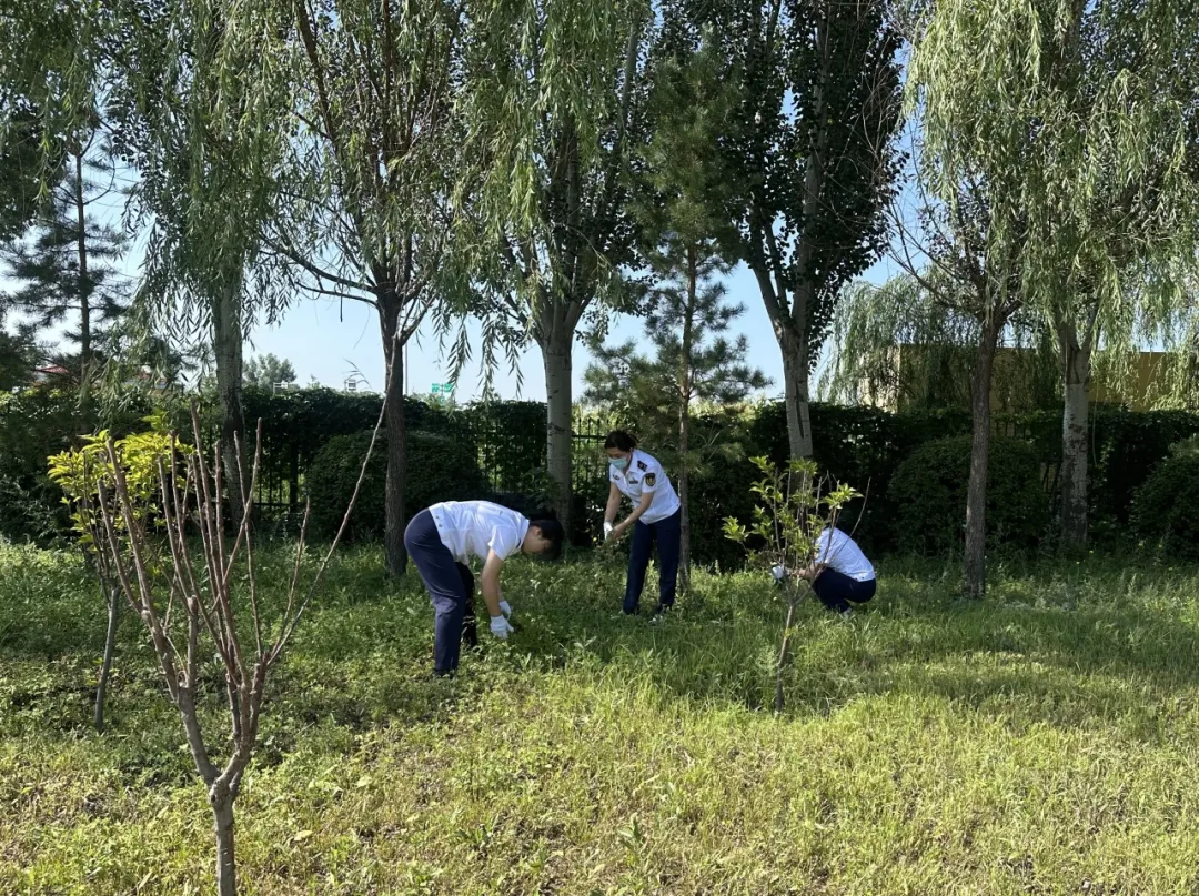 女人与公狍交酡女免费