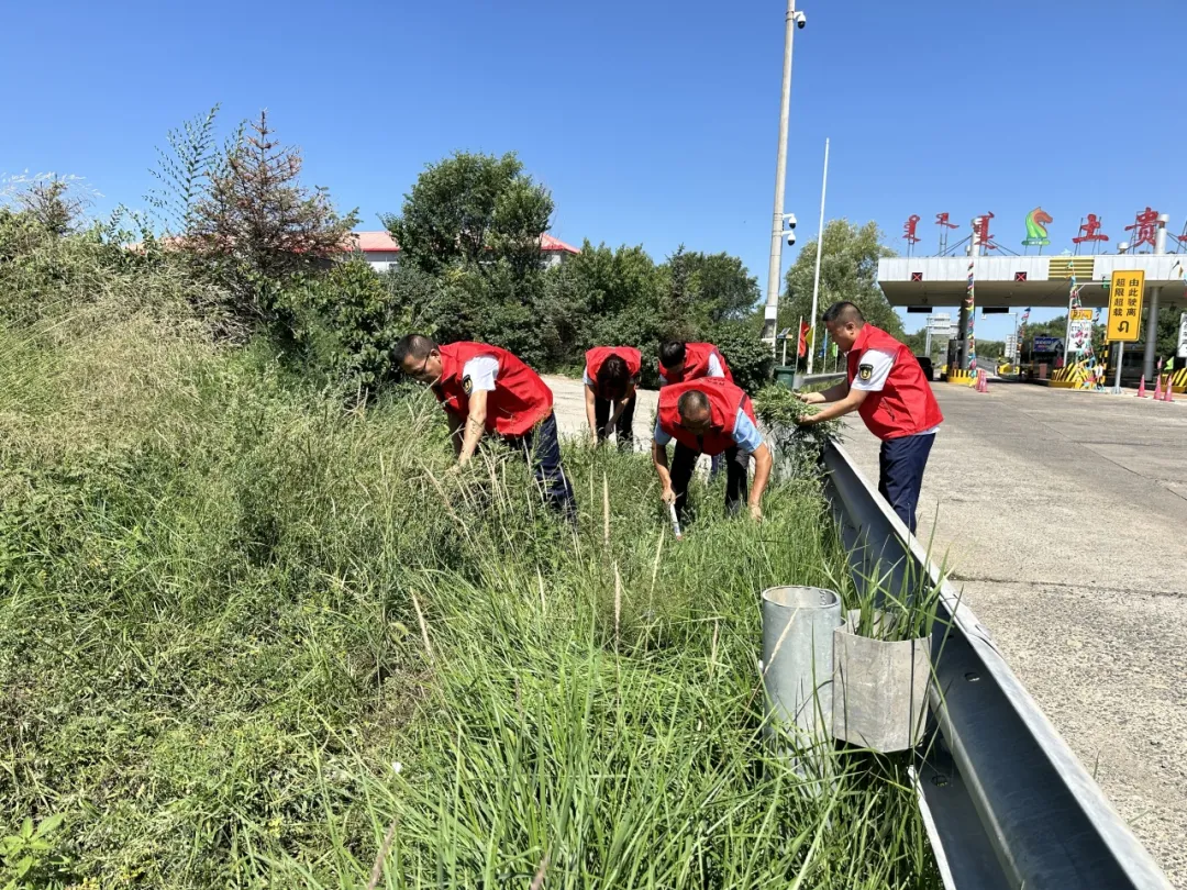女人与公狍交酡女免费