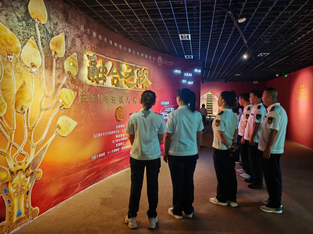 女人与公狍交酡女免费