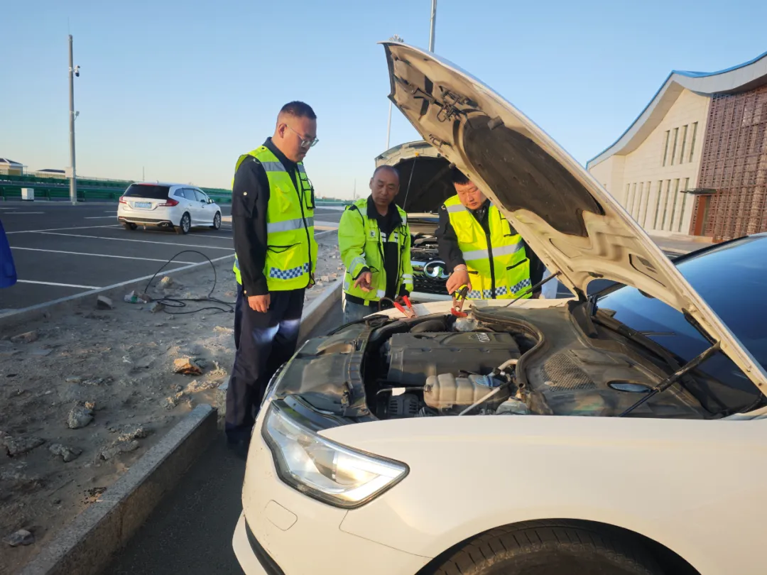 女人与公狍交酡女免费