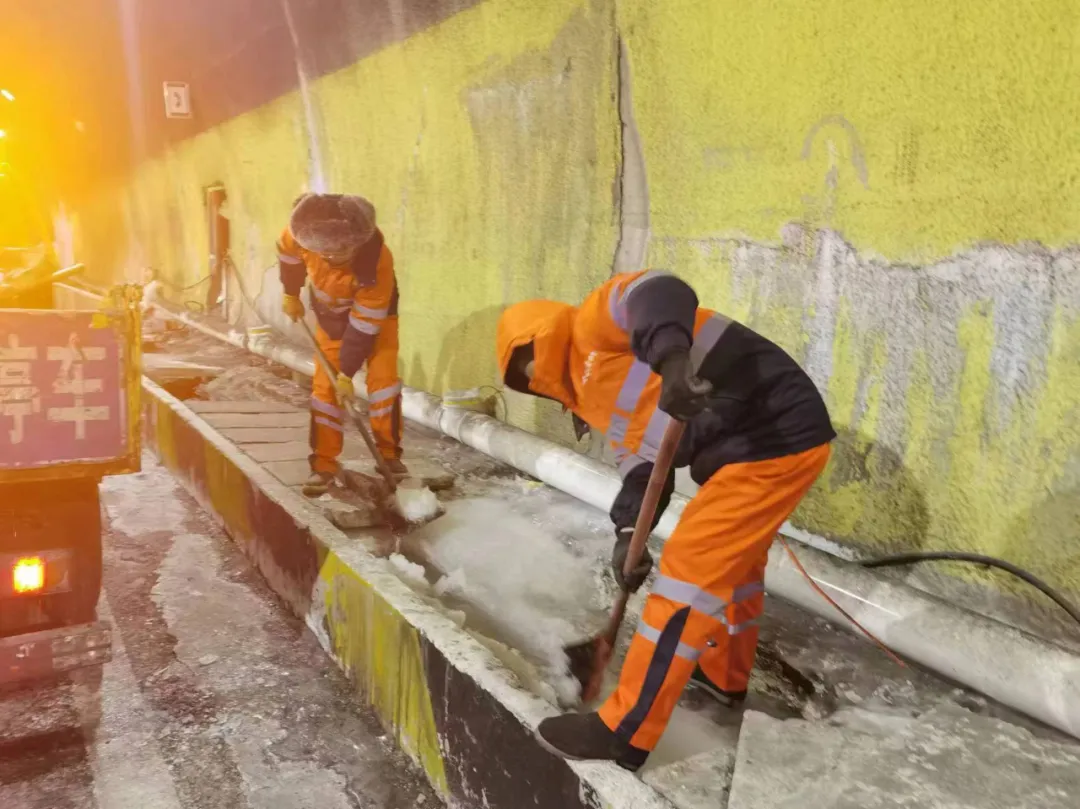 女人与公狍交酡女免费