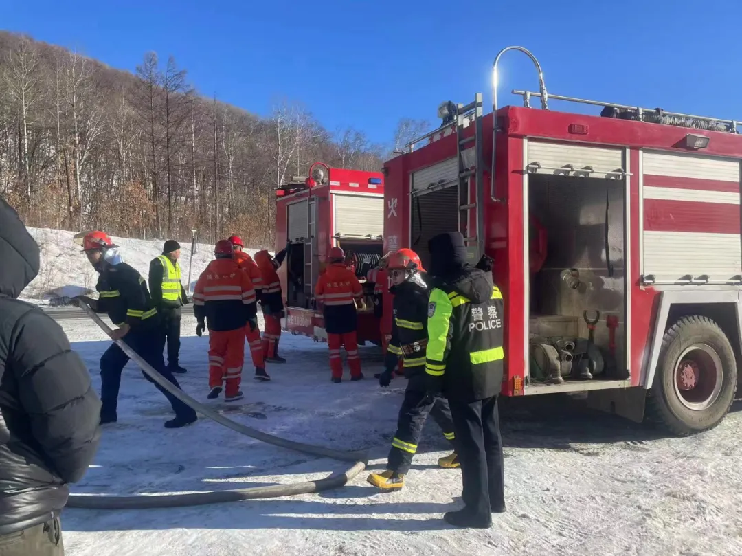 女人与公狍交酡女免费