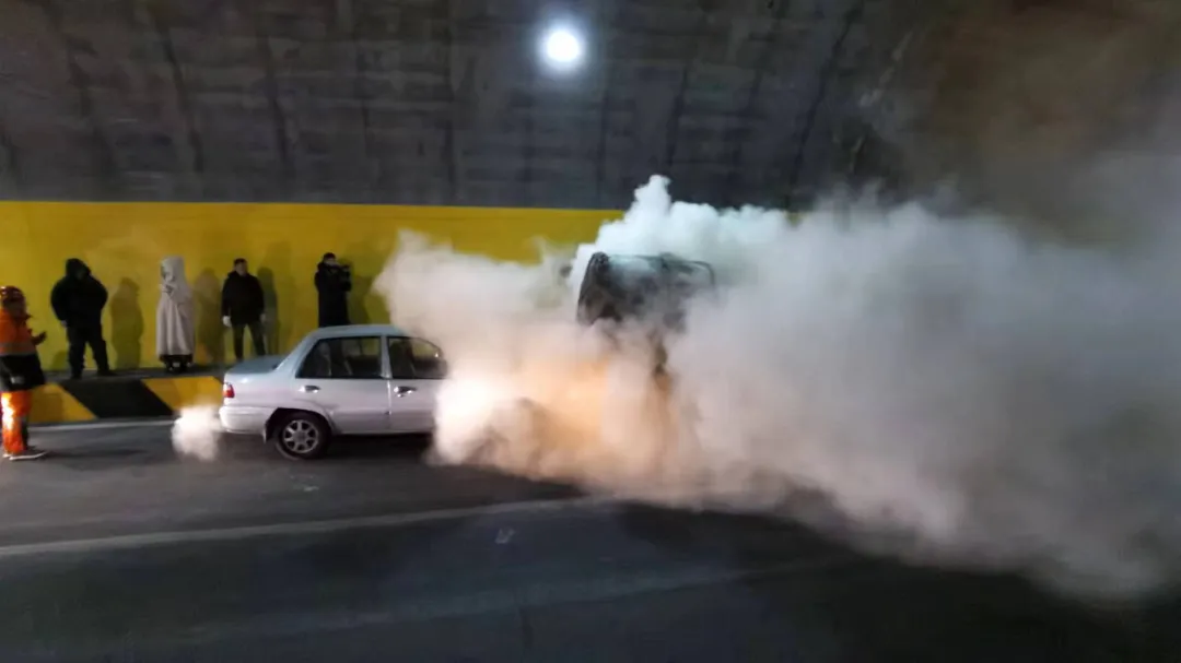 女人与公狍交酡女免费