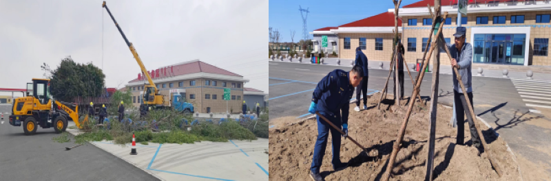 女人与公狍交酡女免费