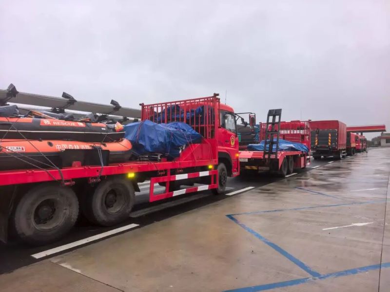 女人与公狍交酡女免费