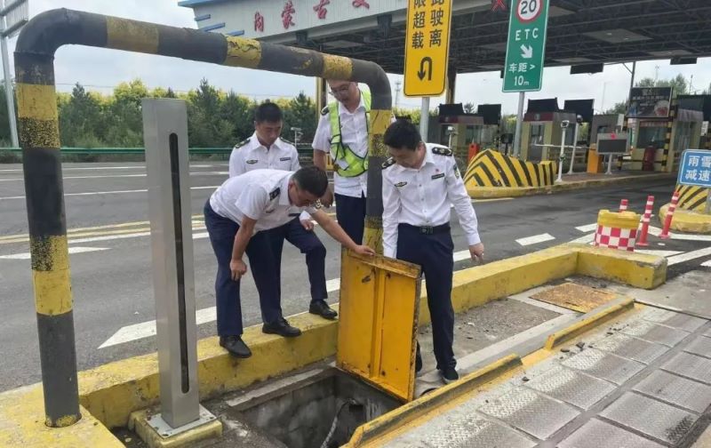 女人与公狍交酡女免费