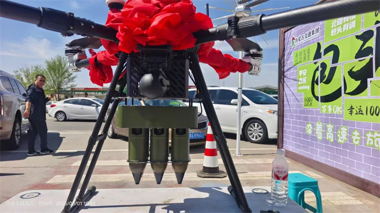 女人与公狍交酡女免费