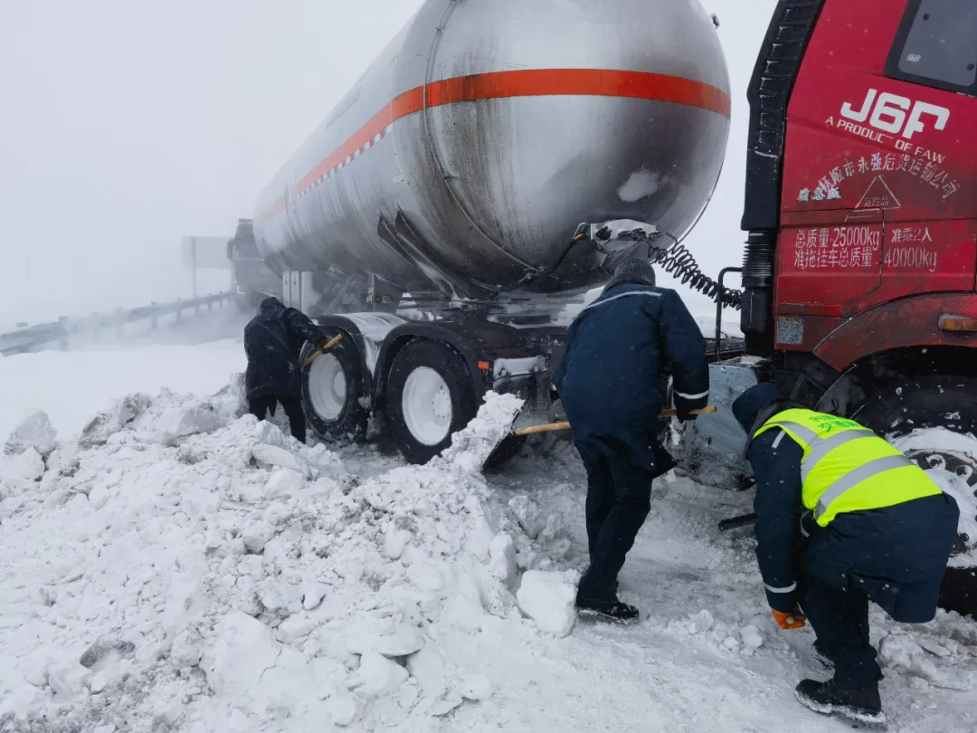 女人与公狍交酡女免费