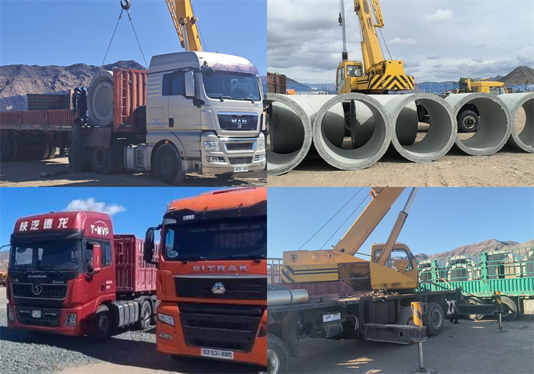 女人与公狍交酡女免费