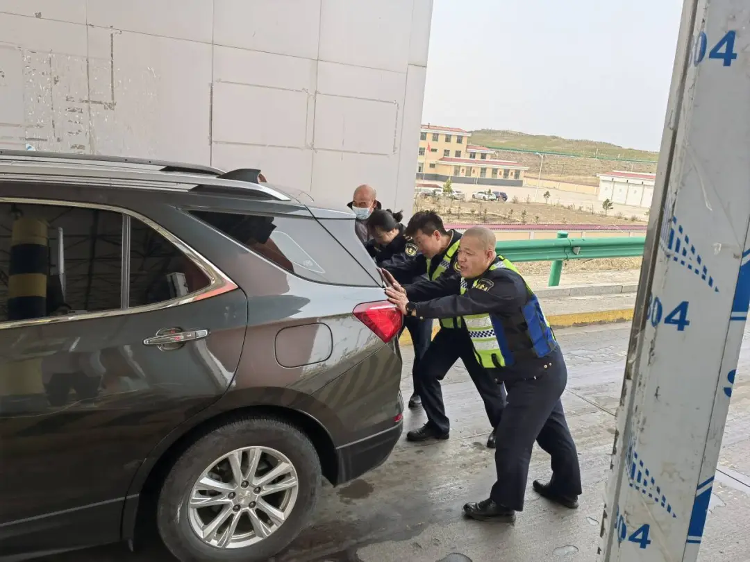 女人与公狍交酡女免费