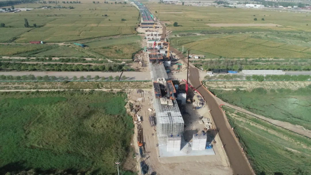 女人与公狍交酡女免费