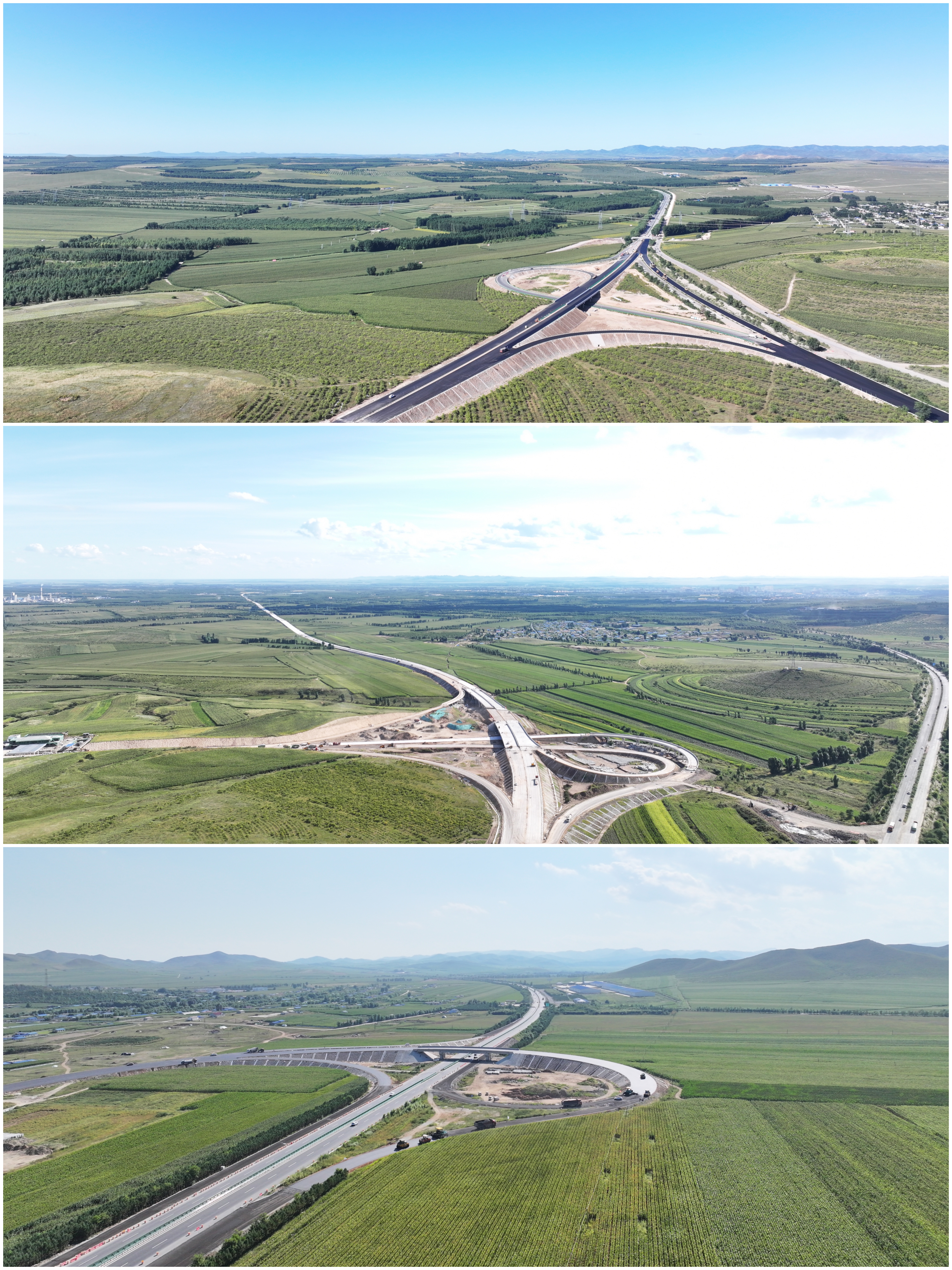 女人与公狍交酡女免费