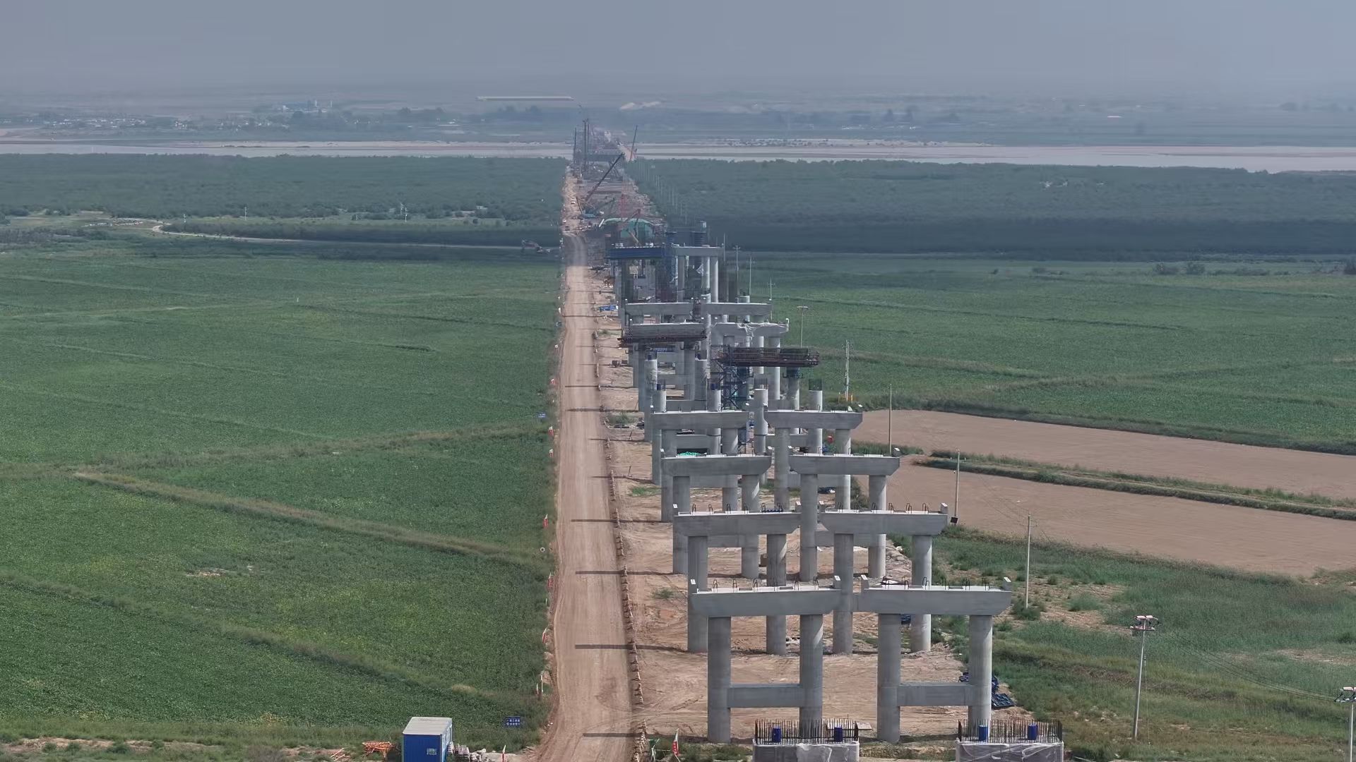 女人与公狍交酡女免费