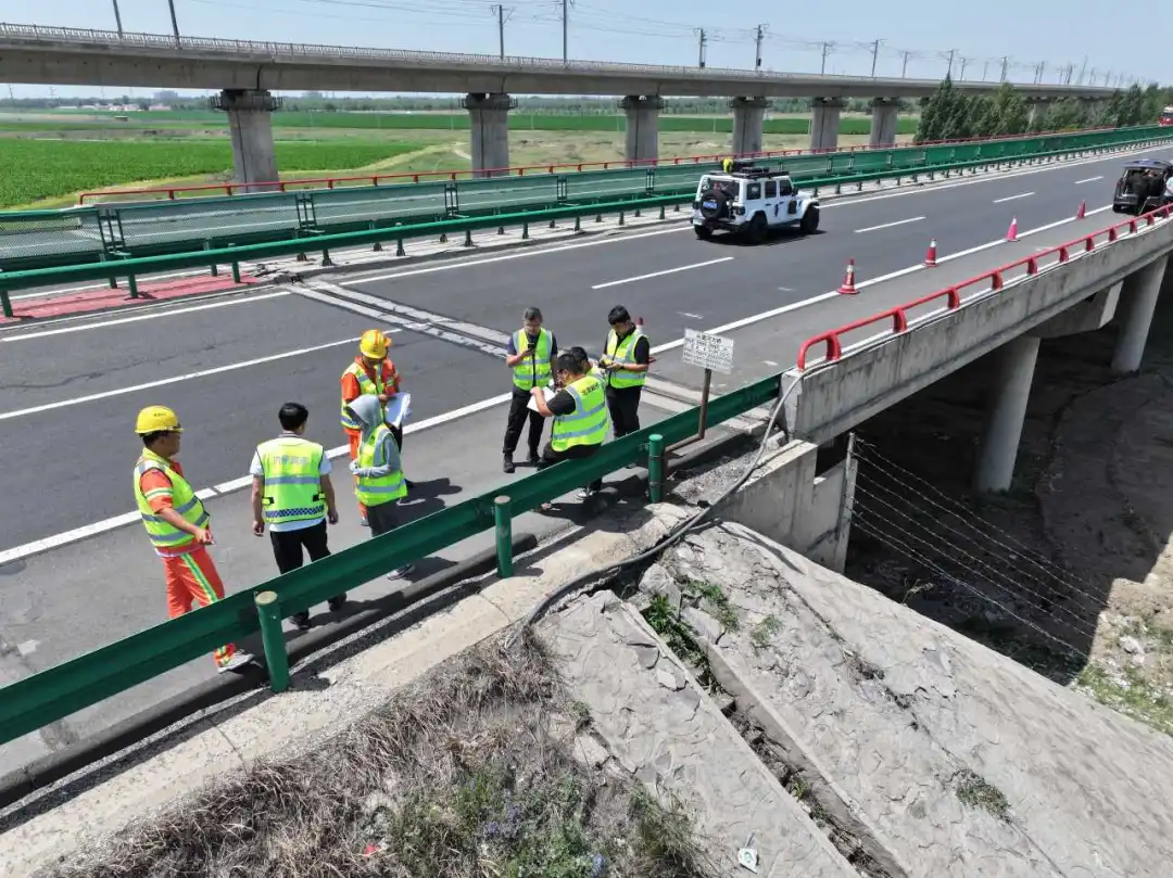 女人与公狍交酡女免费