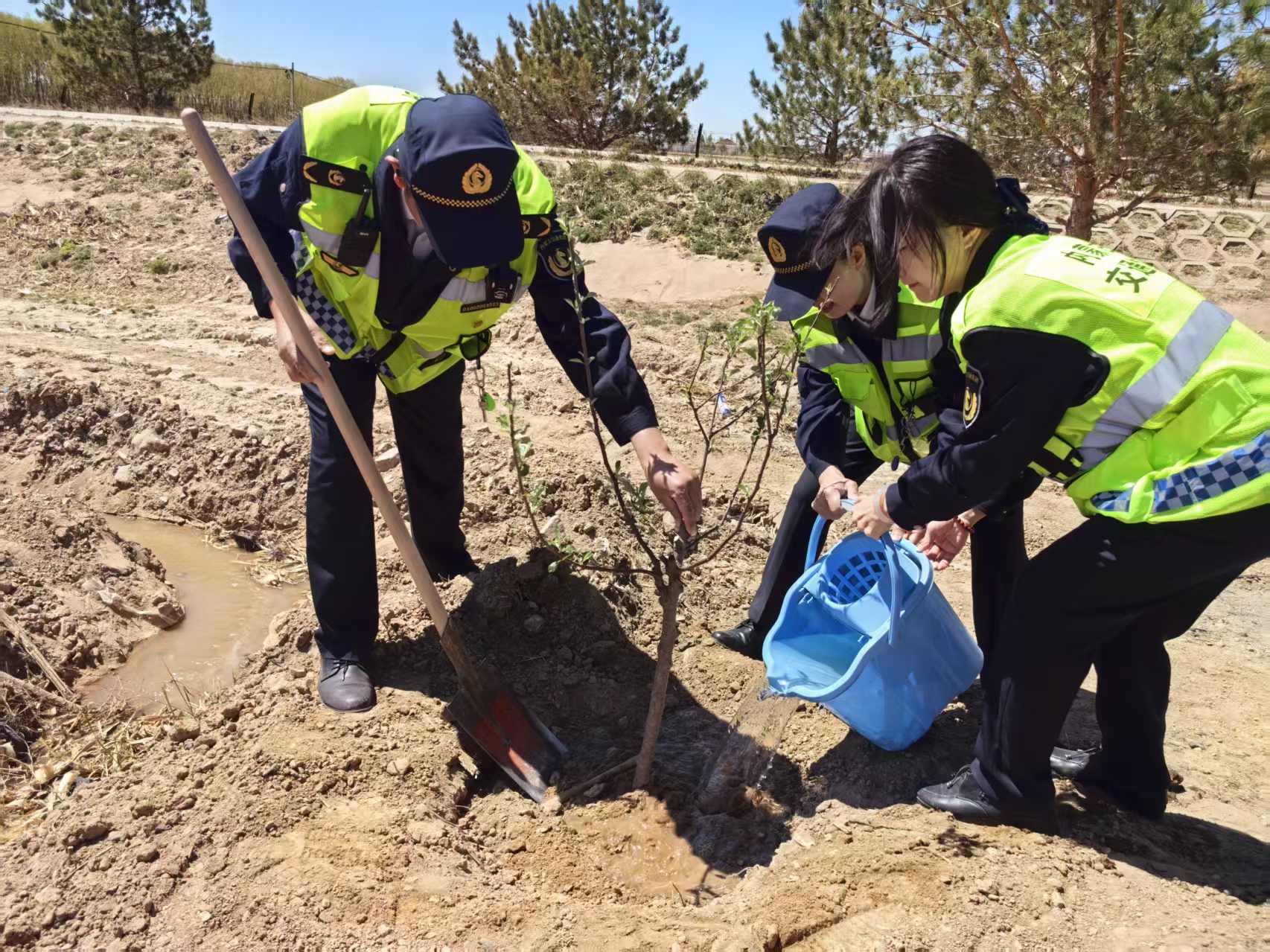 女人与公狍交酡女免费