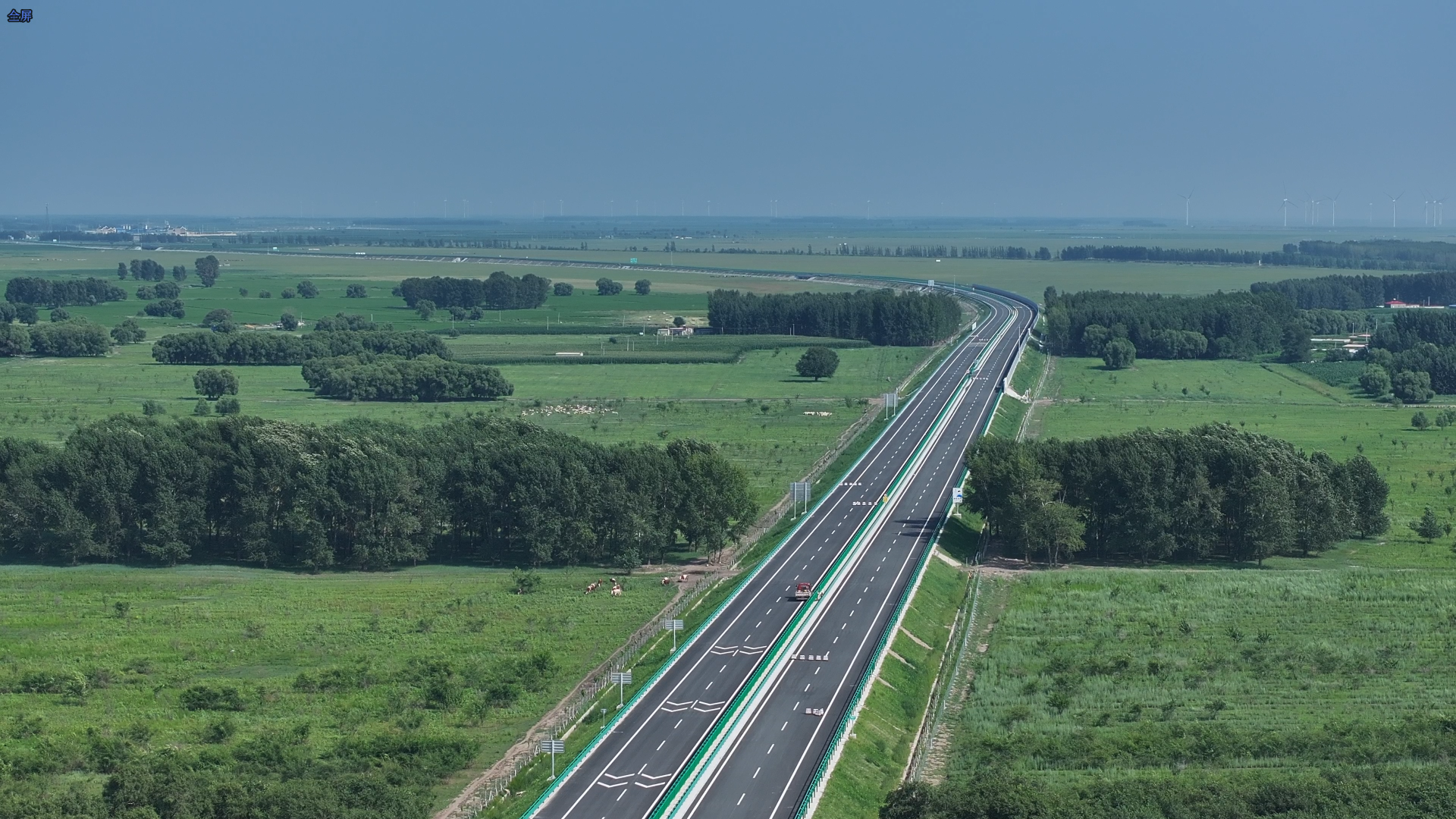 女人与公狍交酡女免费