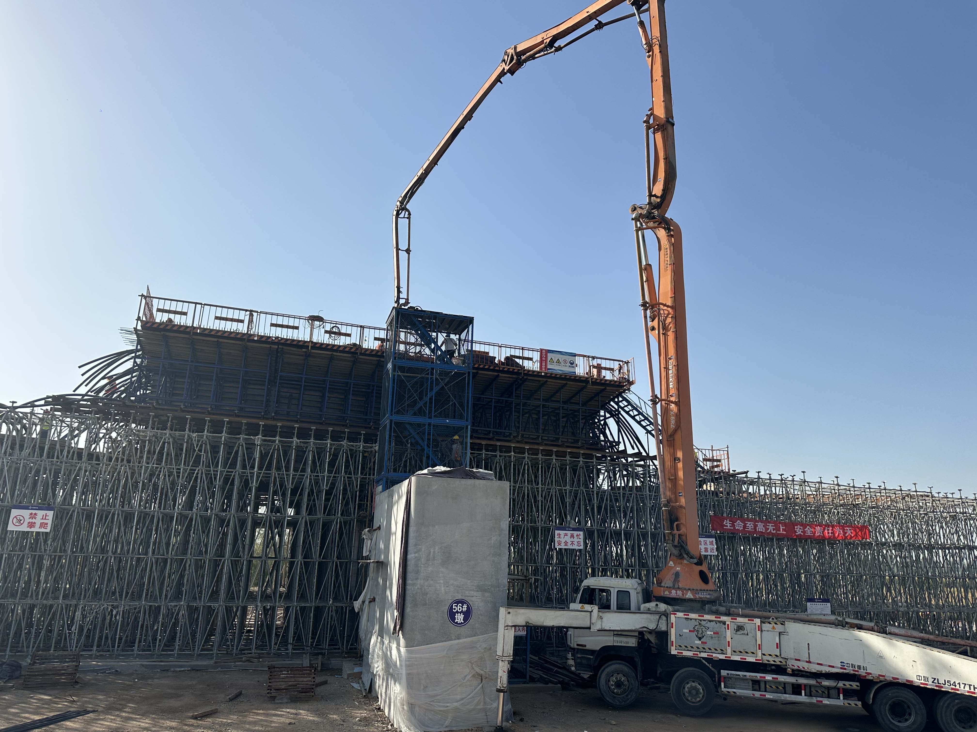 女人与公狍交酡女免费