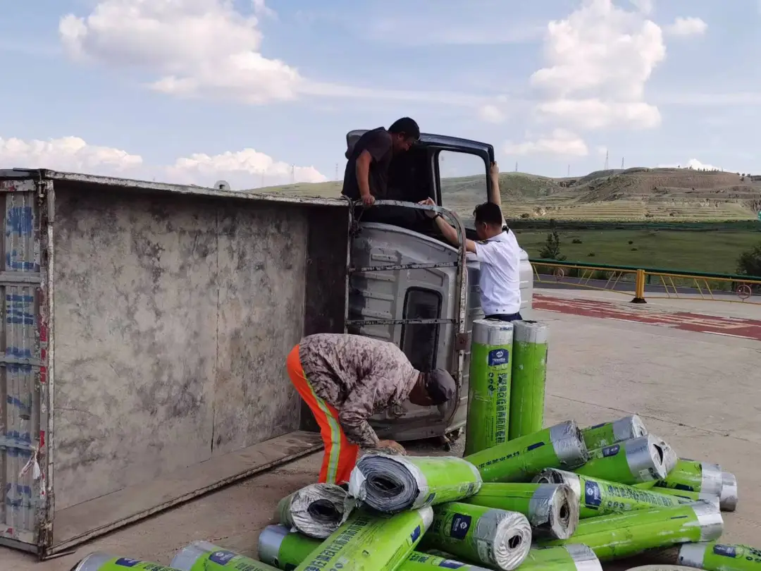 女人与公狍交酡女免费